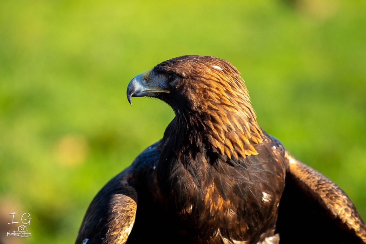 1DX43374 21 november 2021 1226 55